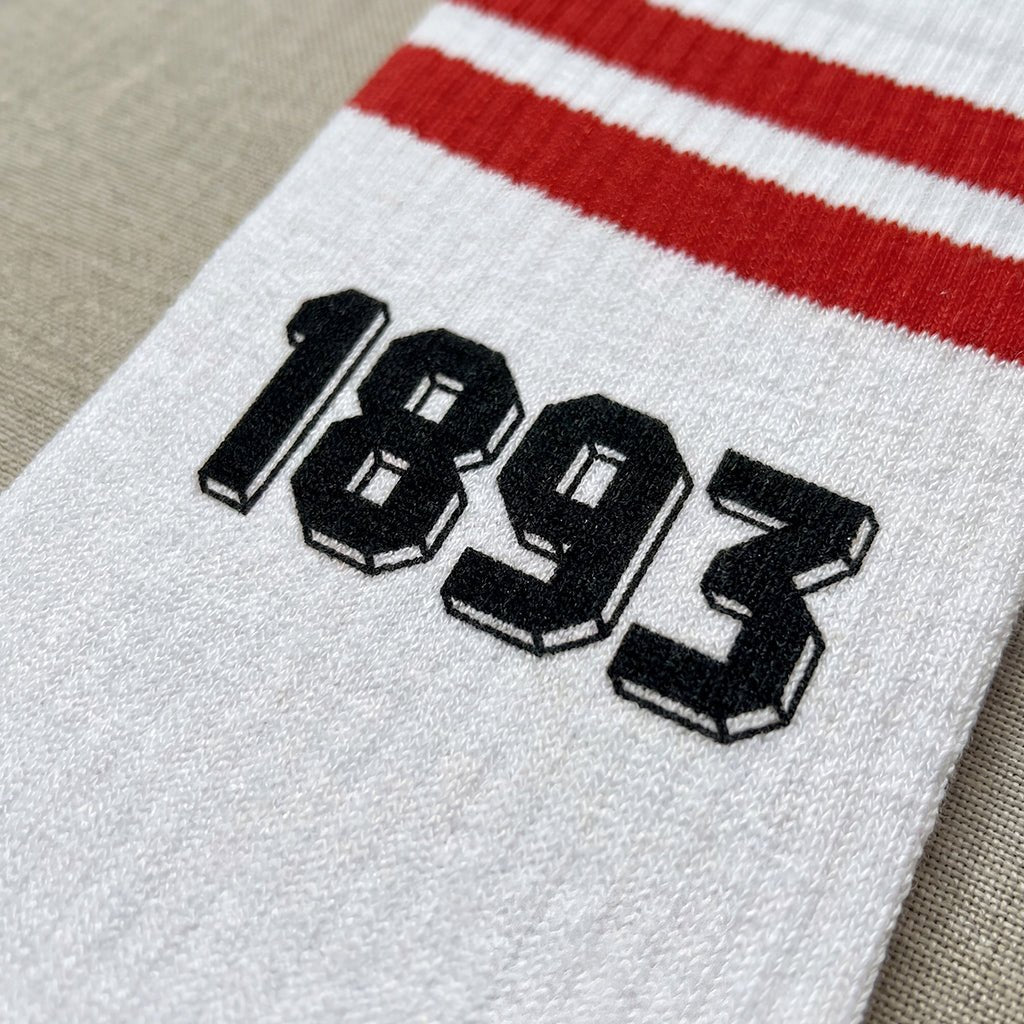 Stadionsocke - Stuttgart